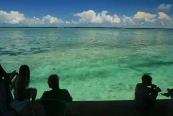 Profitez d'une vue infinie sur l'océan depuis votre hébergement. Vue imprenable sur l'océan depuis la terrasse du Mabul Backpackers, où l'on observe l'eau turquoise s'étirer jusqu'à l'horizon.