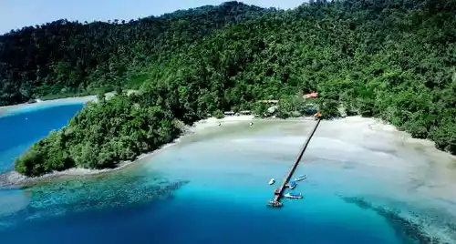 Stunning aerial view of Pulau Gaya's pristine beach and long jetty, surrounded by dense rainforest and the vibrant coral reefs of the Tunku Abdul Rahman Park.