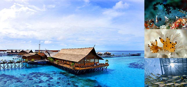 Kapalai Dive Resort, Sipadan, Sabah, Malaysia