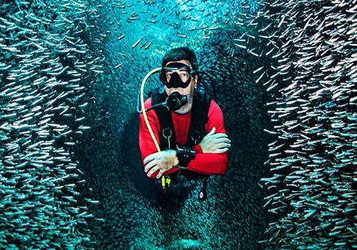 Layang Layang Diving