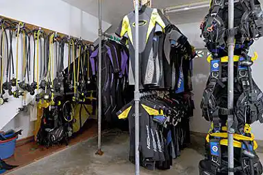We have all the rental gear you need for your dives. Well-organized dive center equipment room with rows of BCDs, regulators, and wetsuits available for rental for a hassle-free scuba holiday.