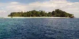 The island is a protected park, both above and below. Panoramic view of the lush, jungle-covered Sipadan Island from the sea, showcasing the perfect weather for a day of world-class diving.