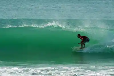 Surfer carving along a perfect green wave, showcasing the excellent surfing conditions available in Kudat, Sabah, Borneo.