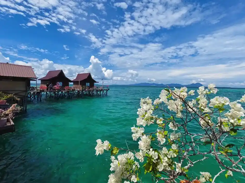Panoramic Sea Views Sea Coral Resort striking ocean views from the resort deck Sea Coral Resort