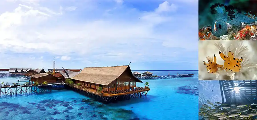 Enjoy beautiful flowers and views of nearby Mabul. Vibrant bougainvillea flowers adorning the walkways of Kapalai Resort's overwater chalets, with a stunning view towards Mabul Island.